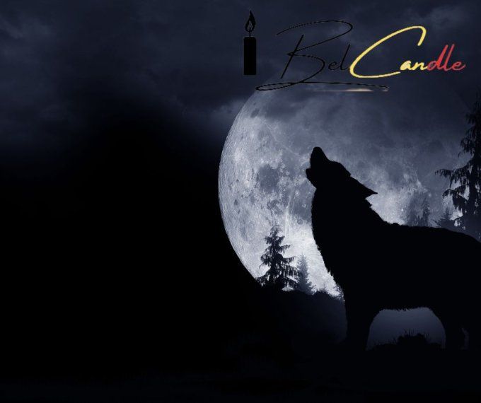 LE CRI DU LOUP